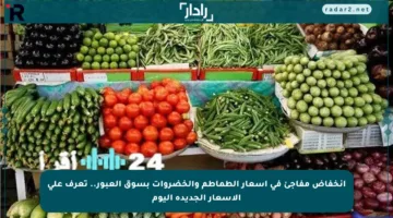انخفاض مفاجئ في أسعار الطماطم والخضروات بسوق العبور.. تعرف على الأسعار الجديدة اليوم